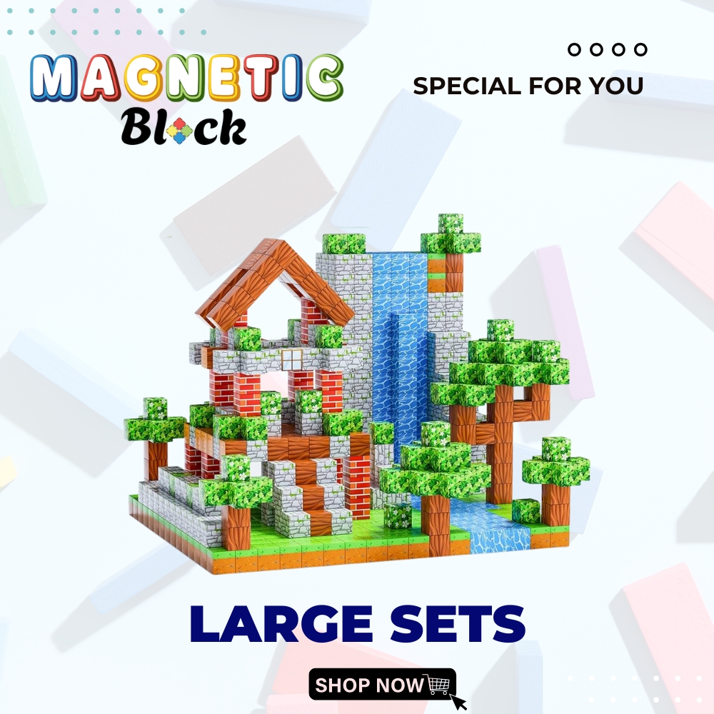 5 - Magnetic Blocks Store